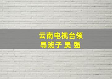 云南电视台领导班子 吴 强